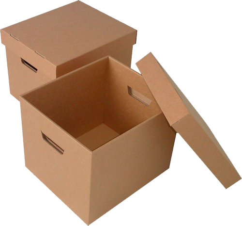 cajas x300 biocarton sas